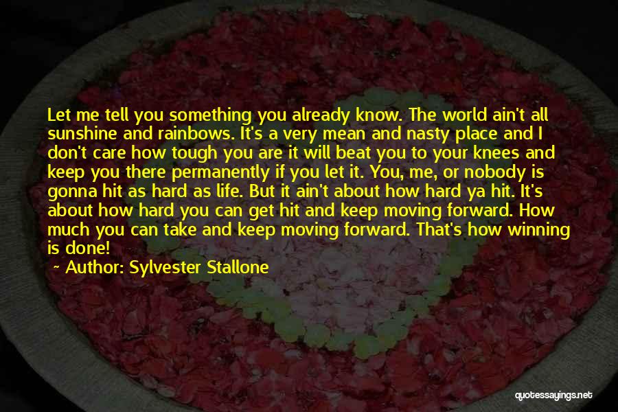 I Don't Care About The World Quotes By Sylvester Stallone