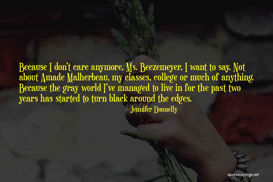 I Don't Care Anymore Quotes By Jennifer Donnelly