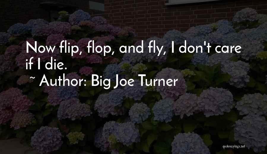 I Don't Care If I Die Quotes By Big Joe Turner