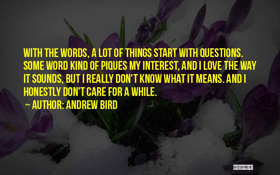I Don't Care What U Think Quotes By Andrew Bird
