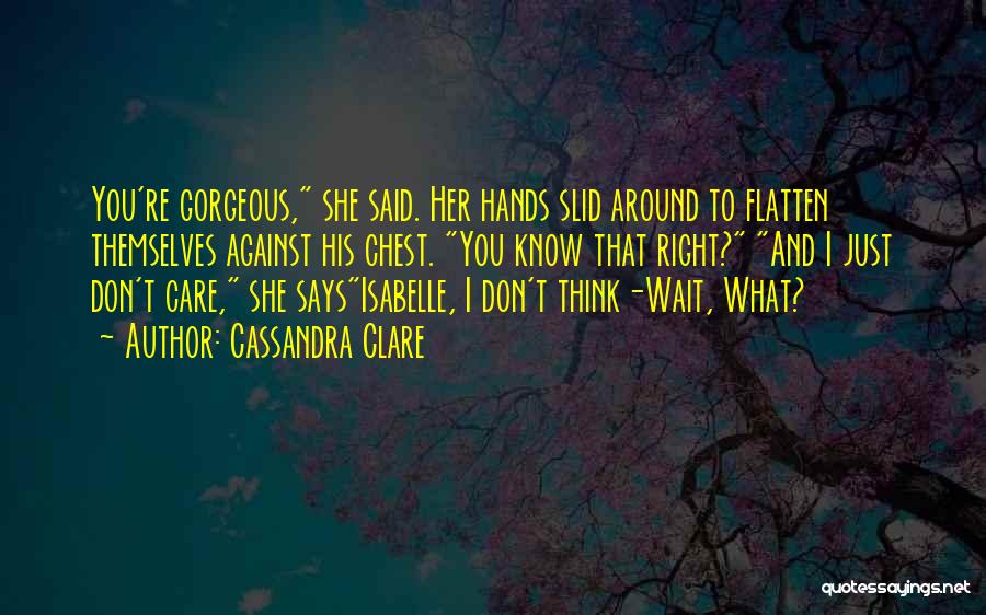 I Don't Care What You Think Quotes By Cassandra Clare