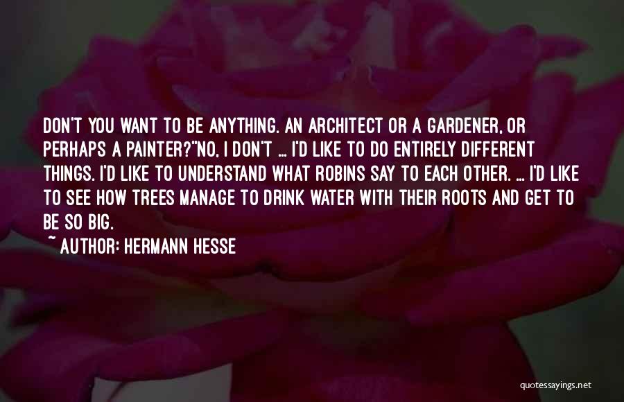 I Don't Drink Water Quotes By Hermann Hesse