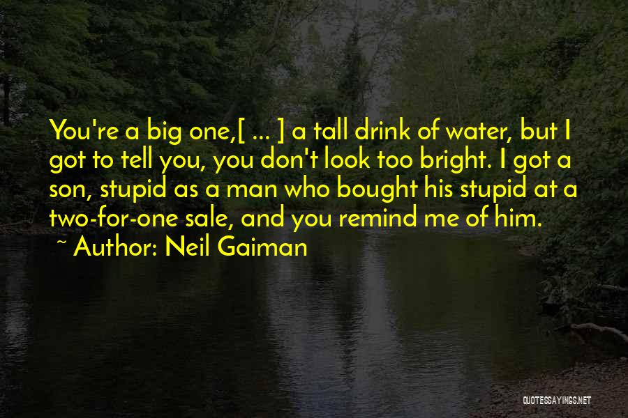 I Don't Drink Water Quotes By Neil Gaiman