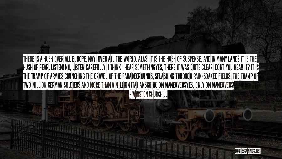 I Dont Fear You Quotes By Winston Churchill I Dont Fear You Quotes By Winston Churchill