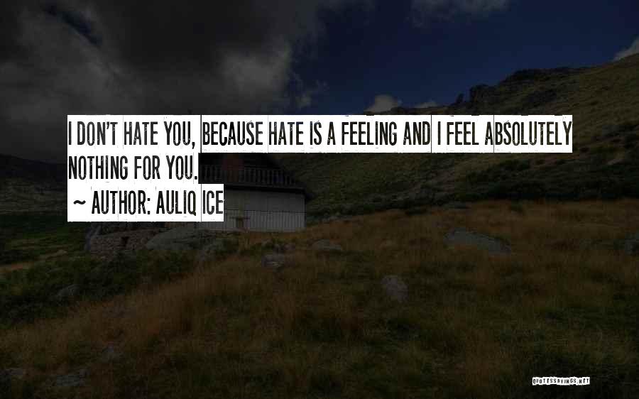 I Don't Hate You Quotes By Auliq Ice