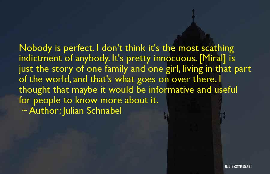 I Don't Have A Perfect Family Quotes By Julian Schnabel