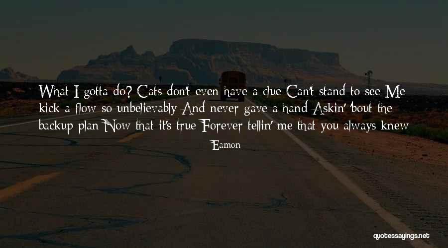 I Don't Have A Plan Quotes By Eamon I Don't Have A Plan Quotes By Eamon