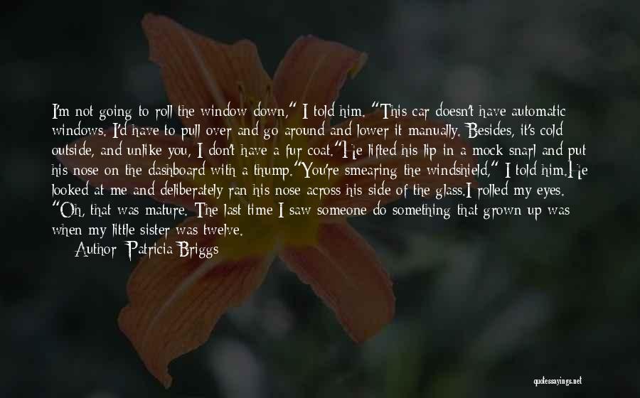 I Don't Have To Put Up With You Quotes By Patricia Briggs