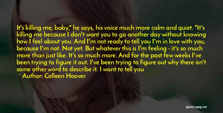 I Don't Just Love You Quotes By Colleen Hoover