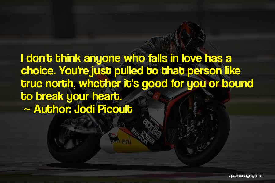 I Don't Just Love You Quotes By Jodi Picoult