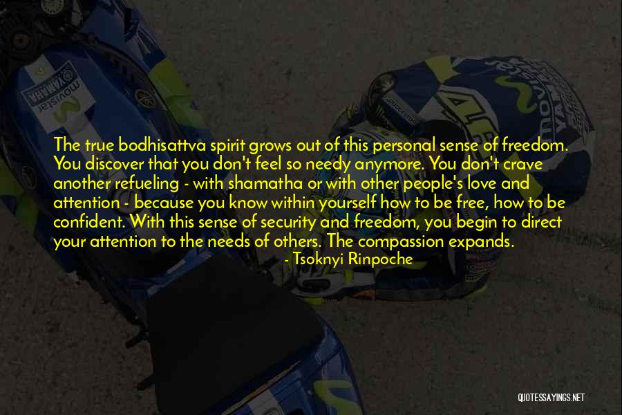 I Don't Know How I Feel Anymore Quotes By Tsoknyi Rinpoche I Don't Know How I Feel Anymore Quotes By Tsoknyi Rinpoche