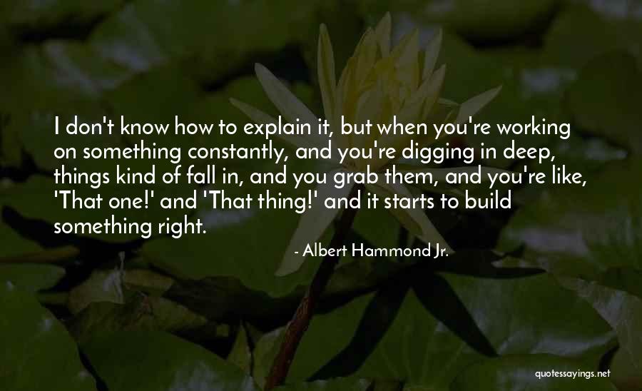 I Don't Know How To Explain Quotes By Albert Hammond Jr. I Don't Know How To Explain Quotes By Albert Hammond Jr.