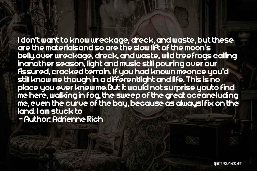 I Don't Know If You Want Me Quotes By Adrienne Rich