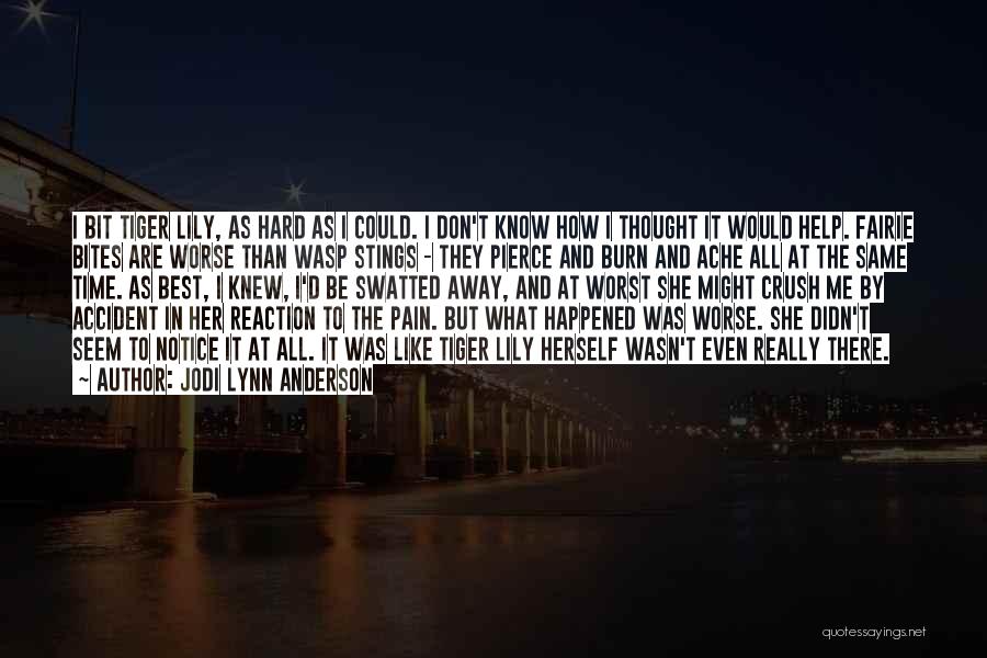 I Don't Know What Happened To Me Quotes By Jodi Lynn Anderson