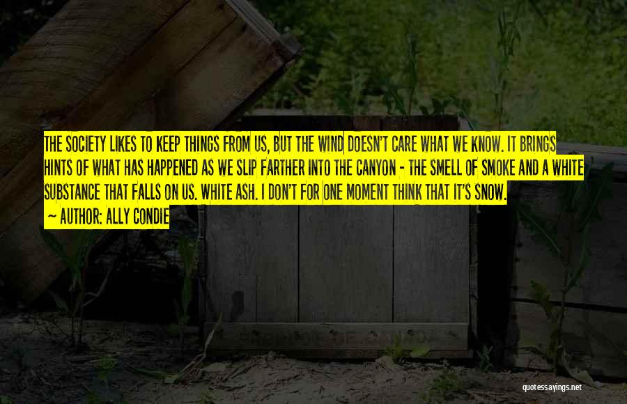 I Don't Know What Happened To Us Quotes By Ally Condie