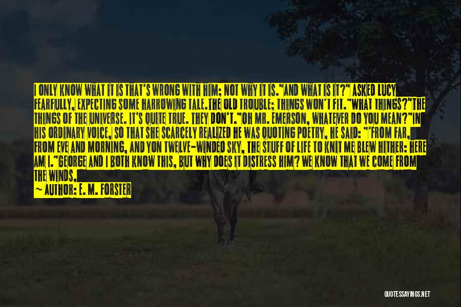 I Don't Know What I Do Wrong Quotes By E. M. Forster