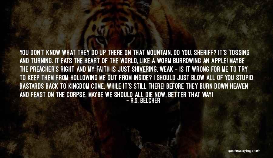 I Don't Know What I Do Wrong Quotes By R.S. Belcher