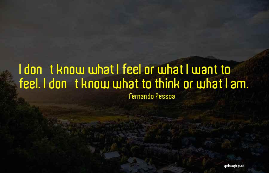 I Don't Know What I Feel Quotes By Fernando Pessoa