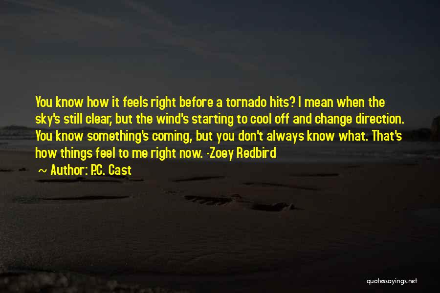 I Don't Know What I Feel Quotes By P.C. Cast