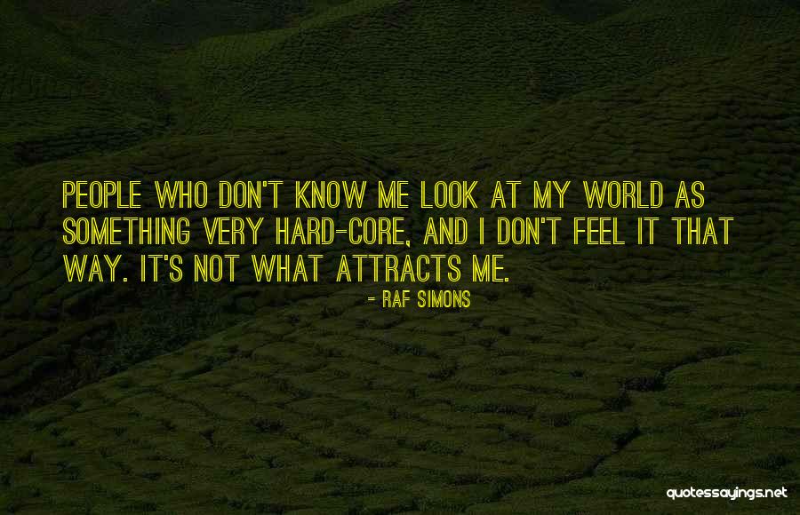 I Don't Know What I Feel Quotes By Raf Simons