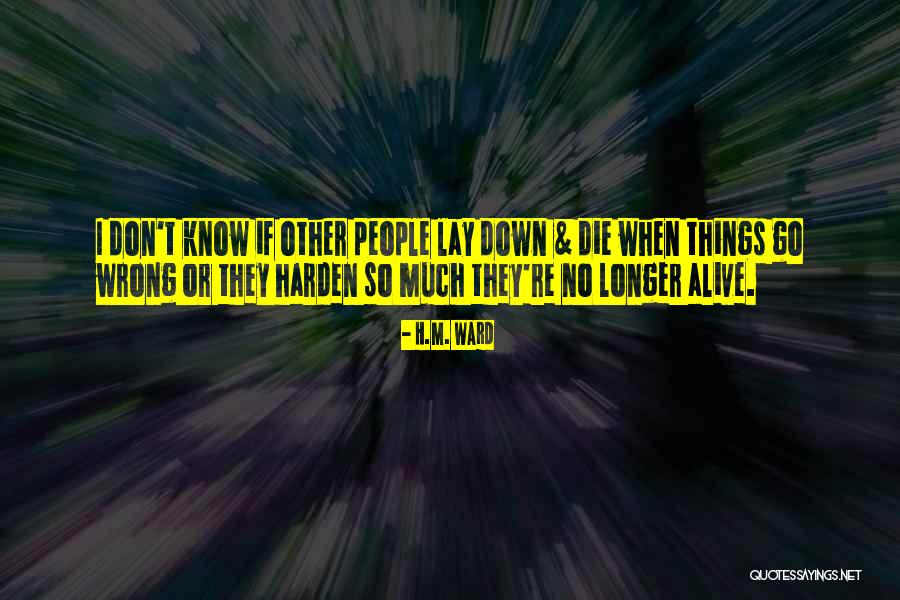 I Don't Know What Went Wrong Quotes By H.M. Ward