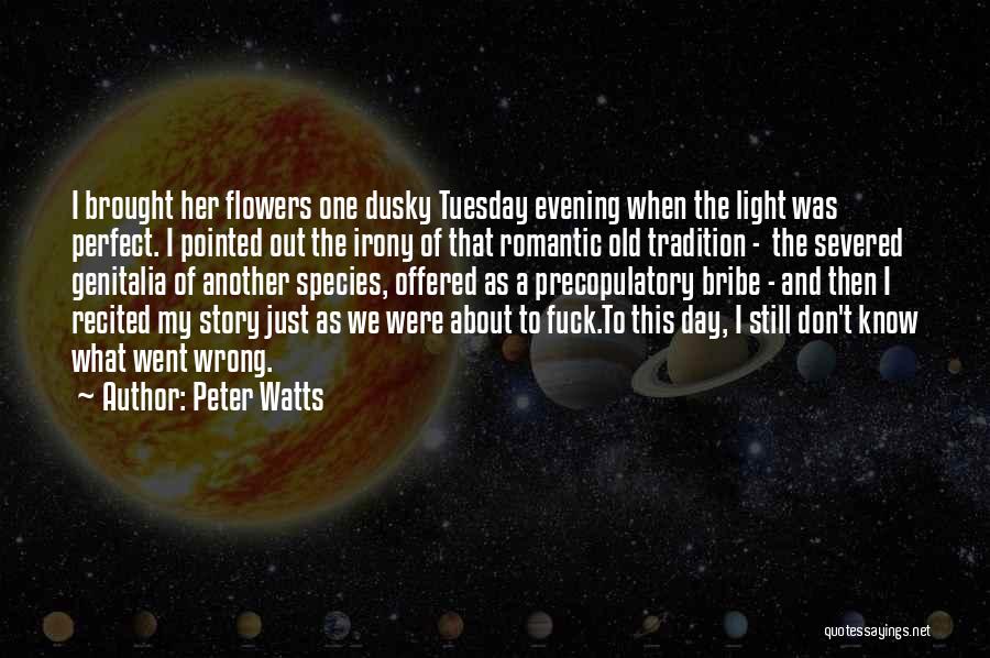 I Don't Know What Went Wrong Quotes By Peter Watts