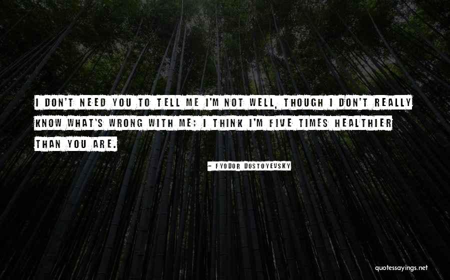 I Don't Know You Well Quotes By Fyodor Dostoyevsky I Don't Know You Well Quotes By Fyodor Dostoyevsky