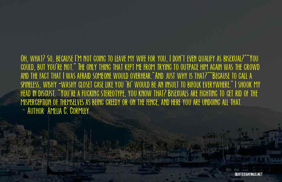 I Don't Like Fighting With You Quotes By Amelia C. Gormley