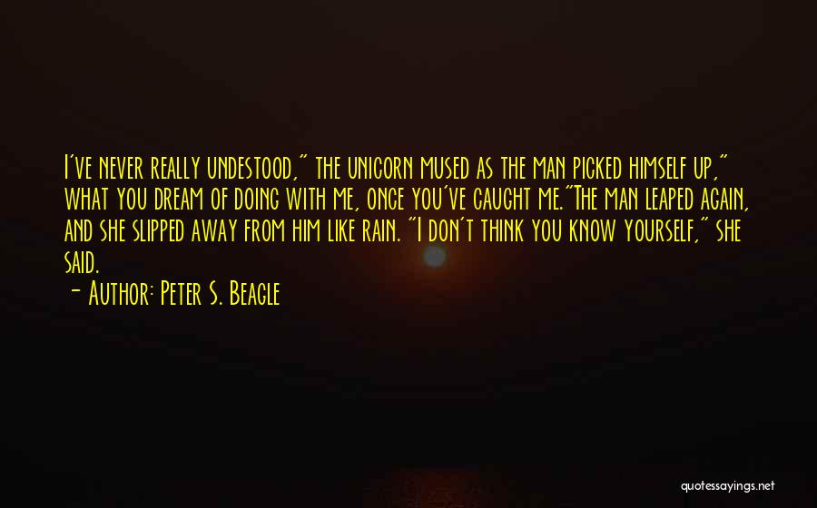 I Don't Like Rain Quotes By Peter S. Beagle