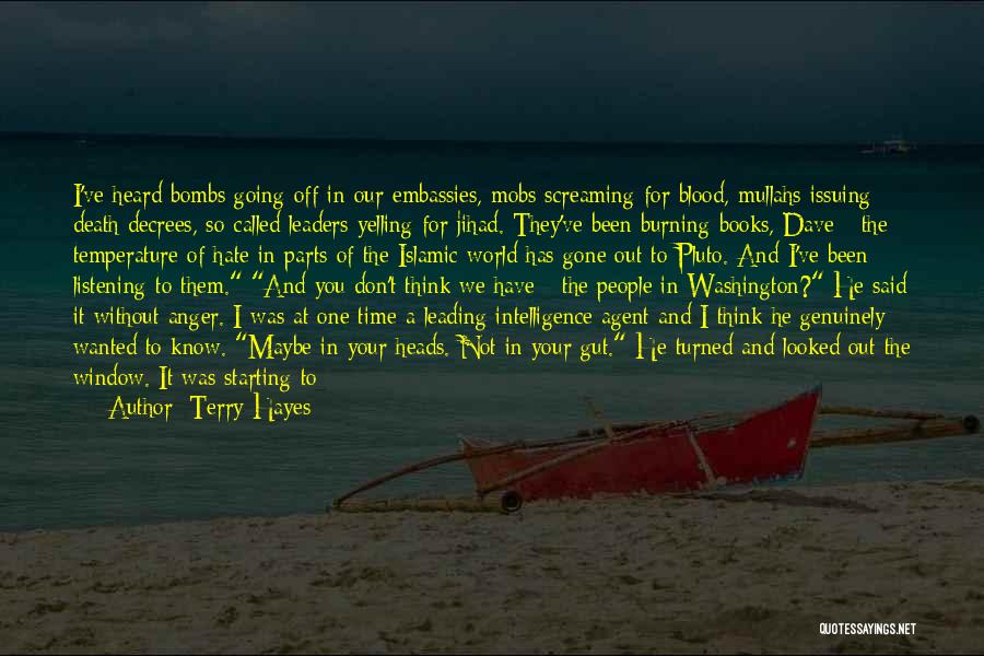 I Don't Like Rain Quotes By Terry Hayes