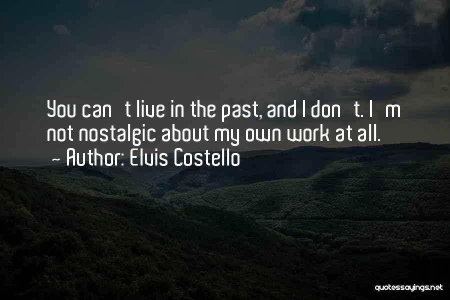 I Don't Live In My Past Quotes By Elvis Costello