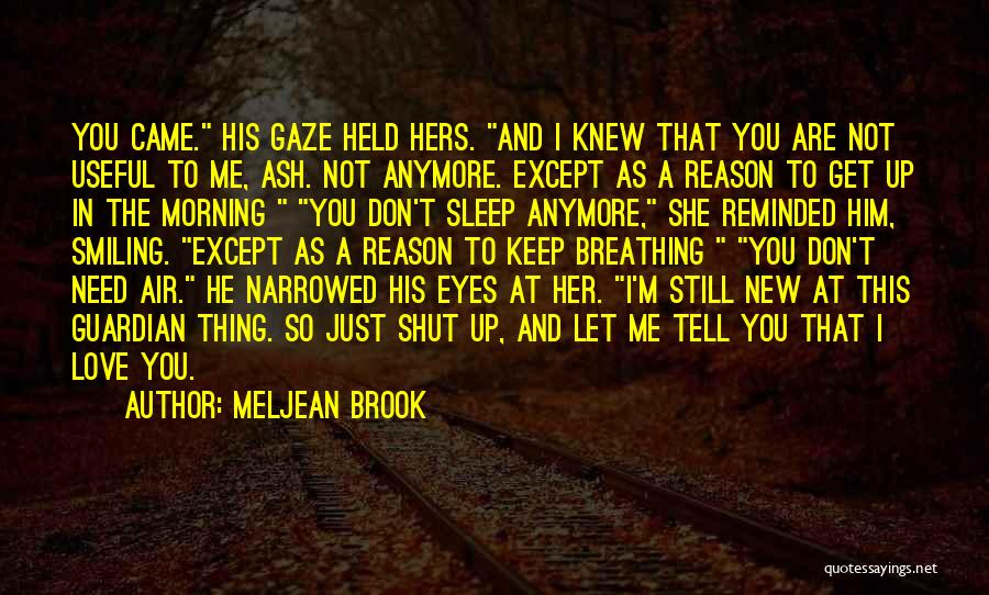 I Don't Love You Anymore Quotes By Meljean Brook