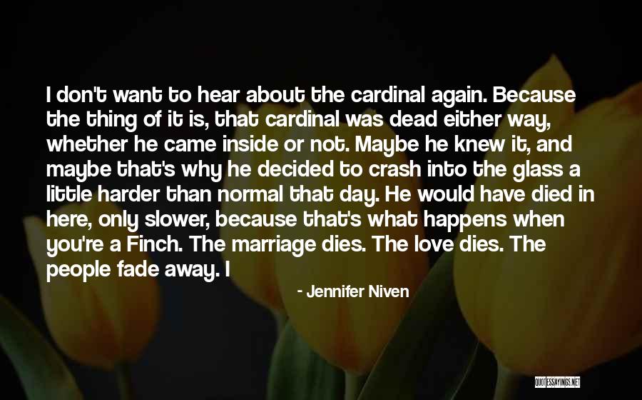 I Don't Love You Because Quotes By Jennifer Niven I Don't Love You Because Quotes By Jennifer Niven