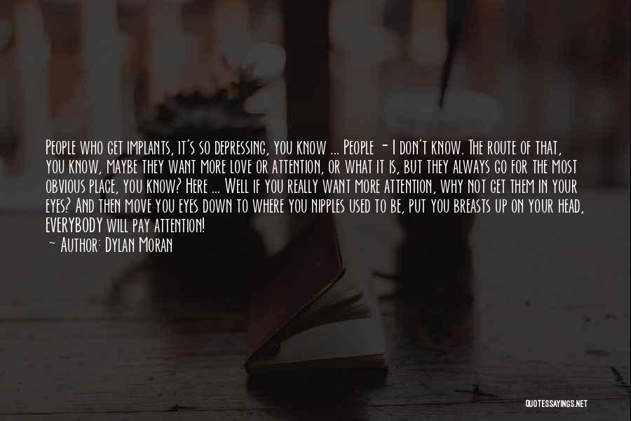 I Don't Love You Funny Quotes By Dylan Moran
