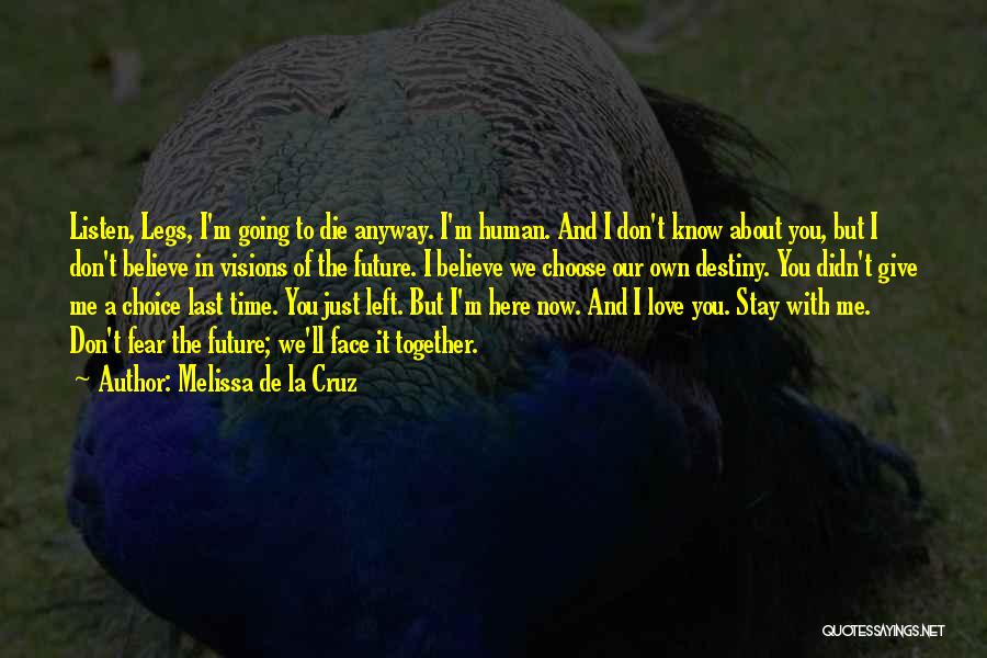 I Don't Love You Now Quotes By Melissa De La Cruz