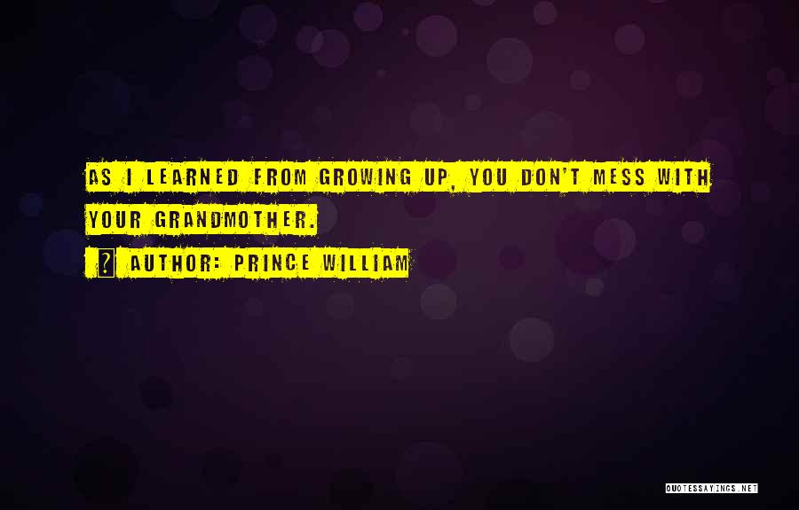 I Don't Mess With You Quotes By Prince William