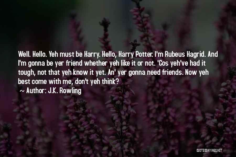 I Don't Need A Friend Like You Quotes By J.K. Rowling