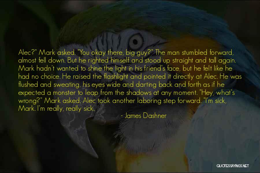 I Don't Need A Friend Like You Quotes By James Dashner