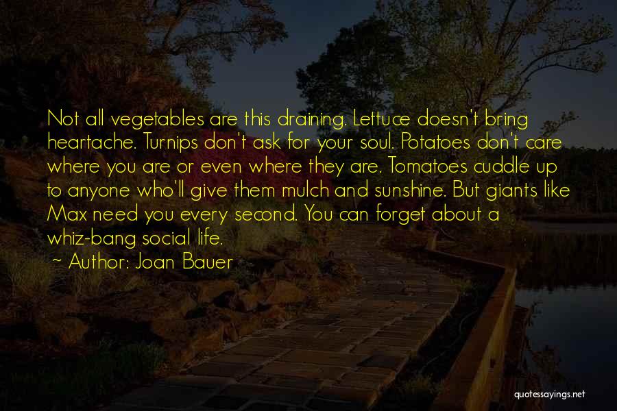 I Don't Need Anyone In My Life Quotes By Joan Bauer