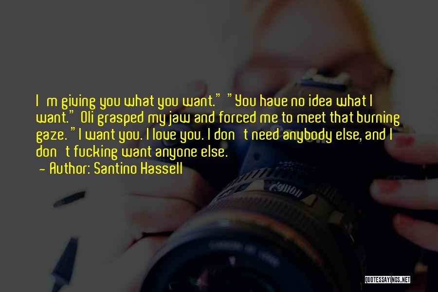I Don't Need Anyone Quotes By Santino Hassell