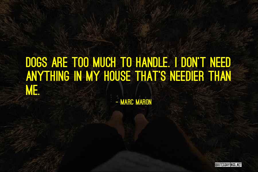 I Don't Need Anything Quotes By Marc Maron