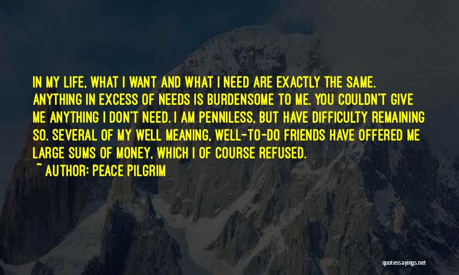 I Don't Need Too Many Friends Quotes By Peace Pilgrim