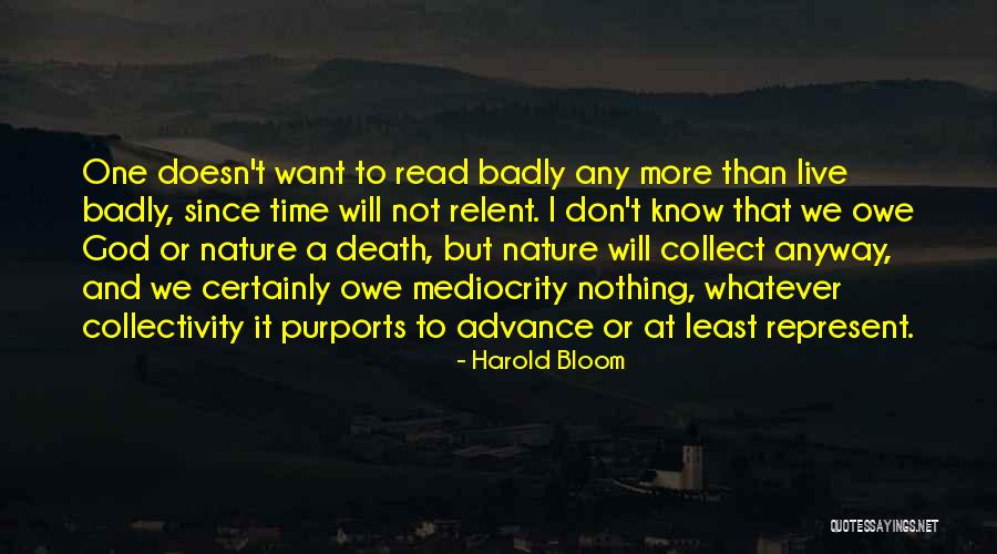 I Don't Owe You Nothing Quotes By Harold Bloom