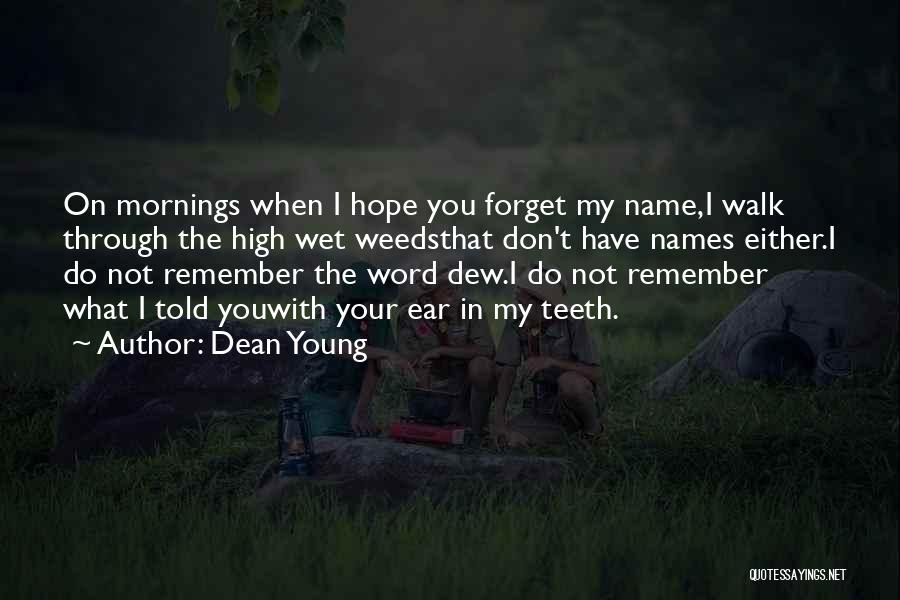 I Don't Remember You Quotes By Dean Young