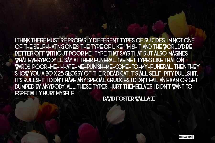 I Don't Think You Like Me Quotes By David Foster Wallace