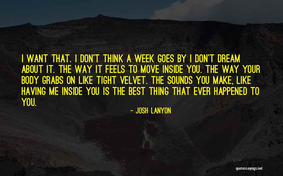 I Don't Think You Like Me Quotes By Josh Lanyon