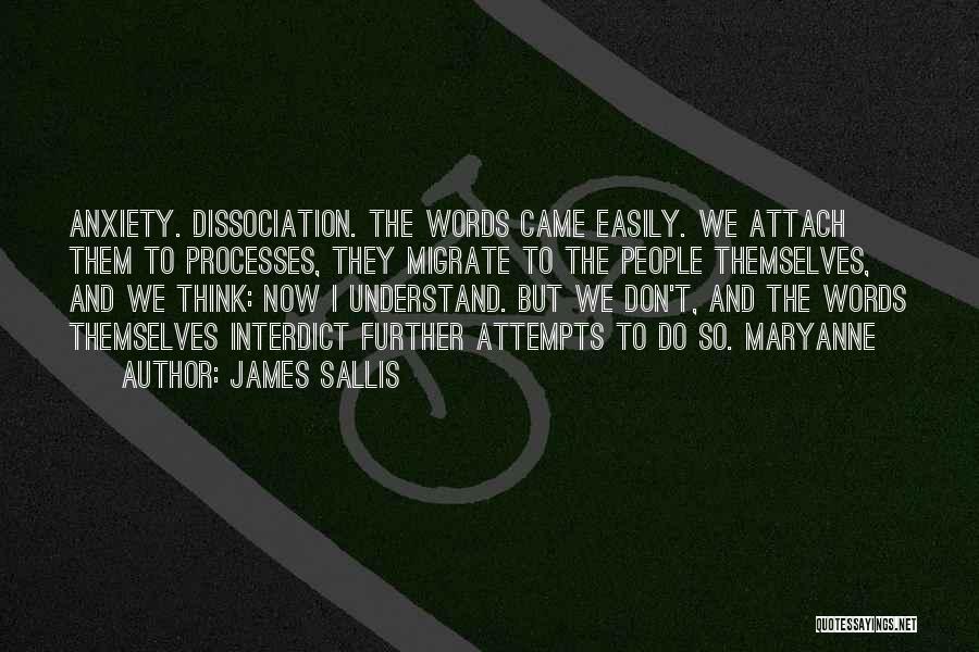 I Don't Understand Quotes By James Sallis