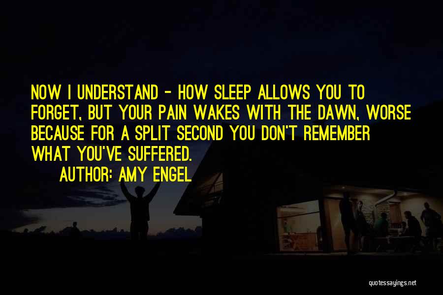 I Don't Understand You Quotes By Amy Engel