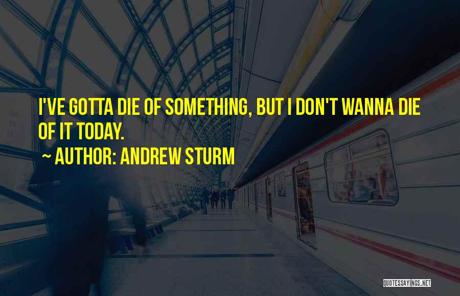 I Don't Wanna Die Quotes By Andrew Sturm