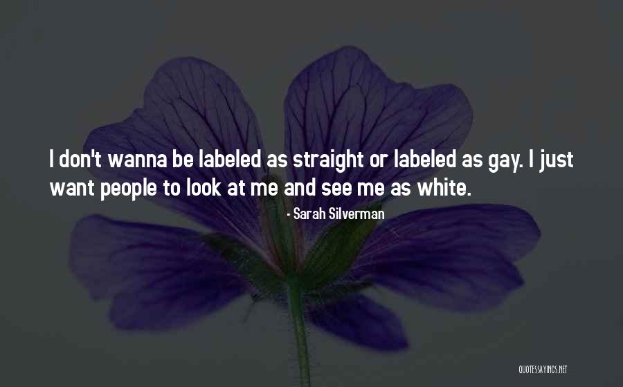 I Don't Wanna See You Quotes By Sarah Silverman I Don't Wanna See You Quotes By Sarah Silverman